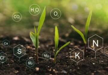 tápanyag-gazdálkodás1