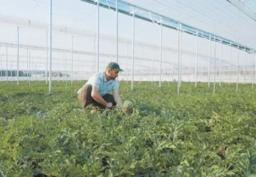 A munkavállalók kötelező bejelentésének elmulasztása