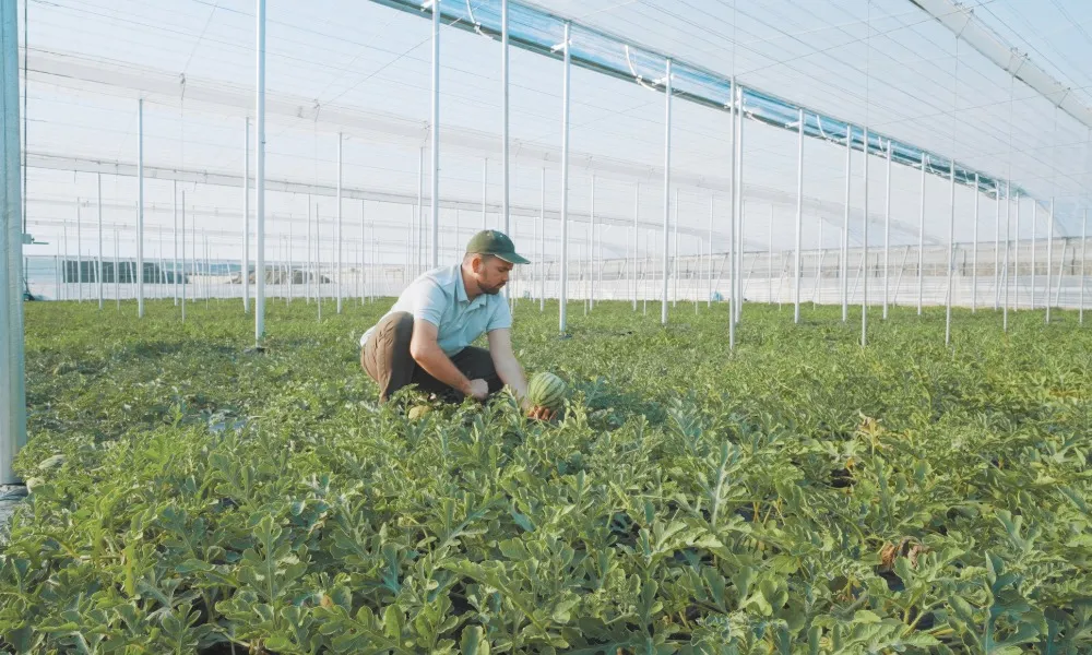 A munkavállalók kötelező bejelentésének elmulasztása