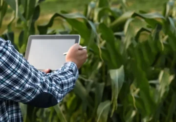 Gyorsulhat a pályázati elszámolások kifizetése