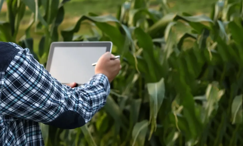 Gyorsulhat a pályázati elszámolások kifizetése