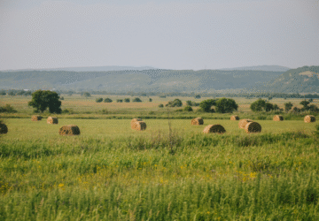 Igénybe vesz-e minden támogatást, ami Önnek jár? Közvetlen támogatási lehetőségek, változások és ellenőrzési tapasztalatok