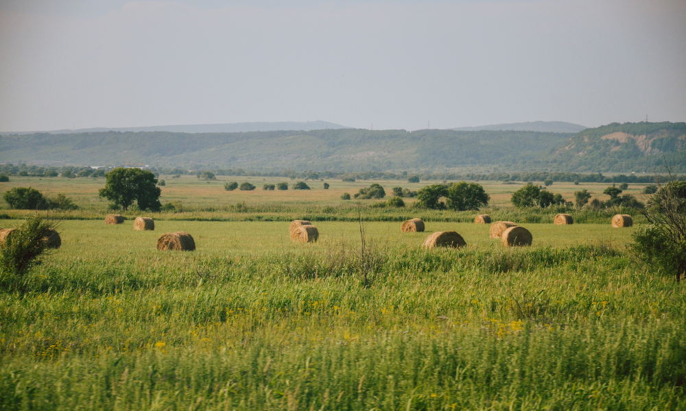 Igénybe vesz-e minden támogatást, ami Önnek jár? Közvetlen támogatási lehetőségek, változások és ellenőrzési tapasztalatok
