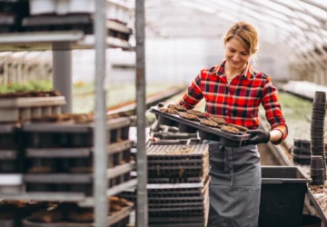 Folytatódik a mezőgazdasági kisüzemek támogatása