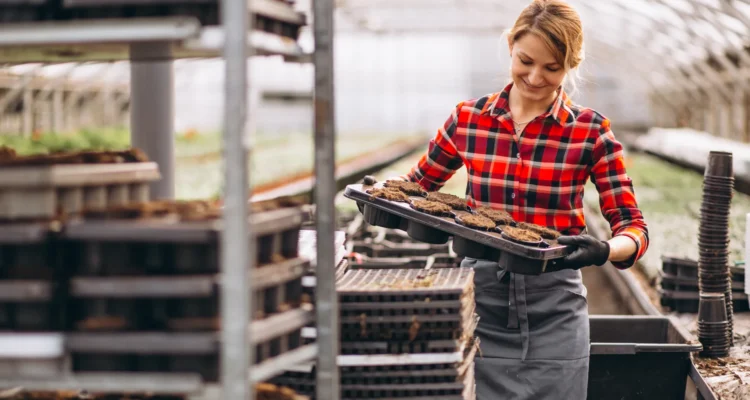 Folytatódik a mezőgazdasági kisüzemek támogatása
