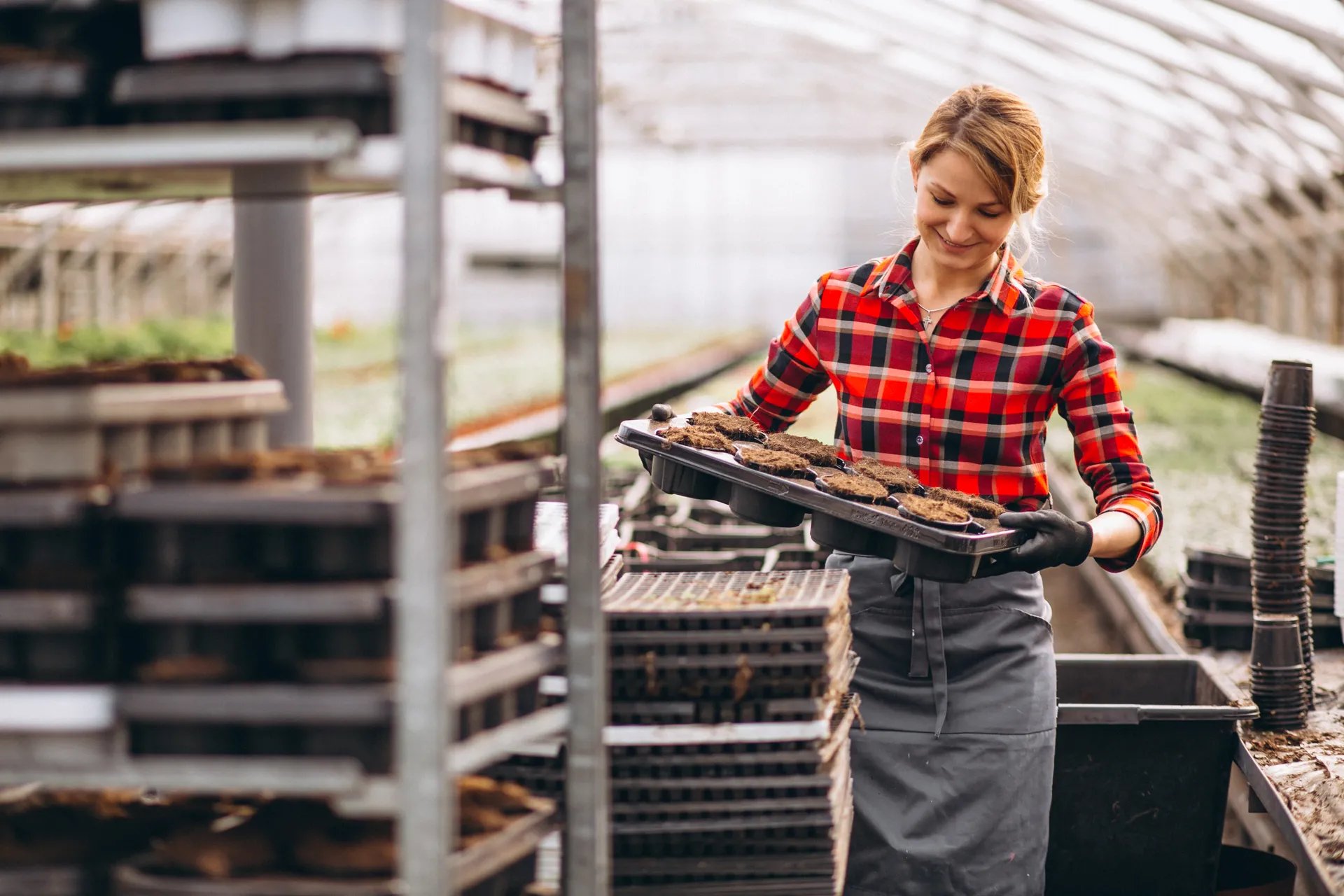 Folytatódik a mezőgazdasági kisüzemek támogatása