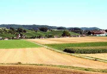 Módosult a Általános Útmutató a 2023 - 2027-es programozási időszakban a KAP Stratégiai Terv alapján meghirdetett pályázati felhívásokhoz” elnevezésű dokumentum