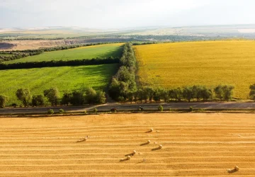 Előrehozott támogatások - Az Agrárközösség szakértőjét kérdezte a Magyar Mezőgazdaság