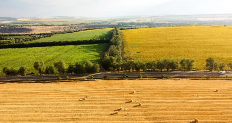Előrehozott támogatások - Az Agrárközösség szakértőjét kérdezte a Magyar Mezőgazdaság