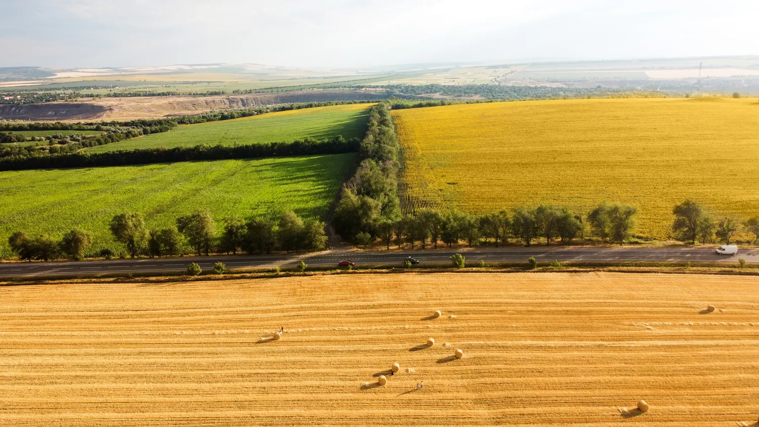 Előrehozott támogatások - Az Agrárközösség szakértőjét kérdezte a Magyar Mezőgazdaság