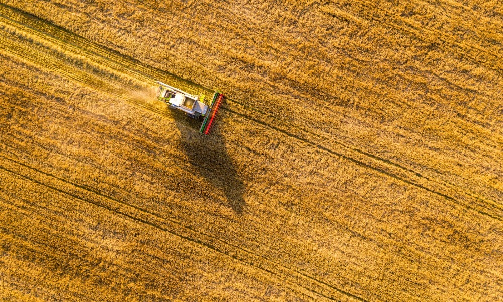 Mezőgazdasági kárenyhítési támogatás 2026 – extra forrás a terméskárok enyhítésére